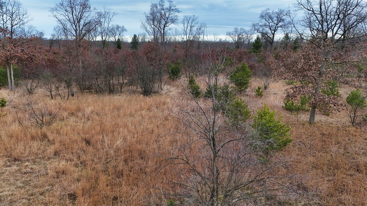 3728 N Custer Road Property Photo 23