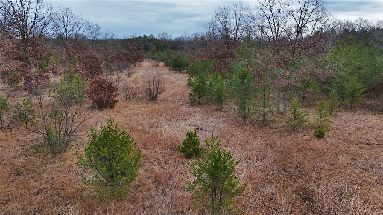 3728 N Custer Road Property Photo 24
