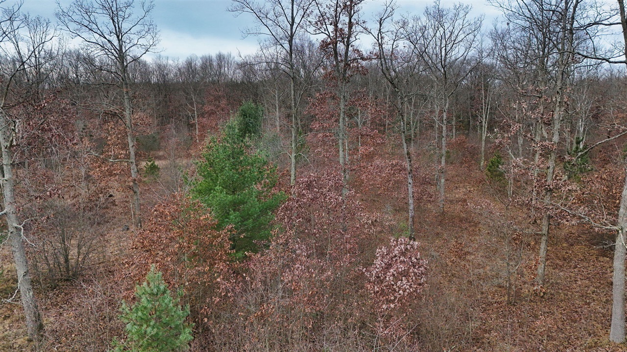 3728 N Custer Road Property Photo 29
