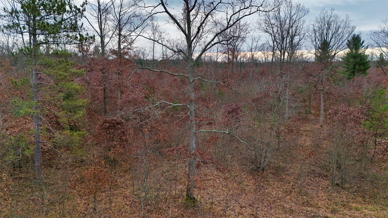 3728 N Custer Road Property Photo 30