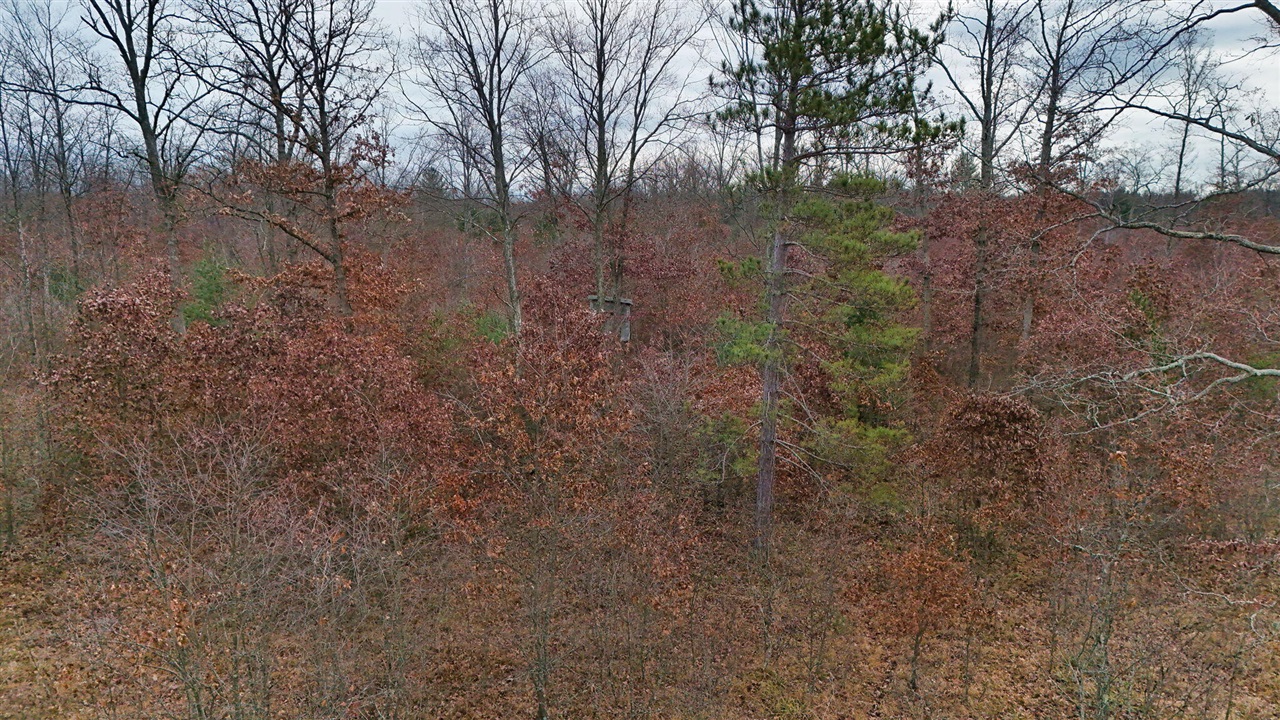 3728 N Custer Road Property Photo 31