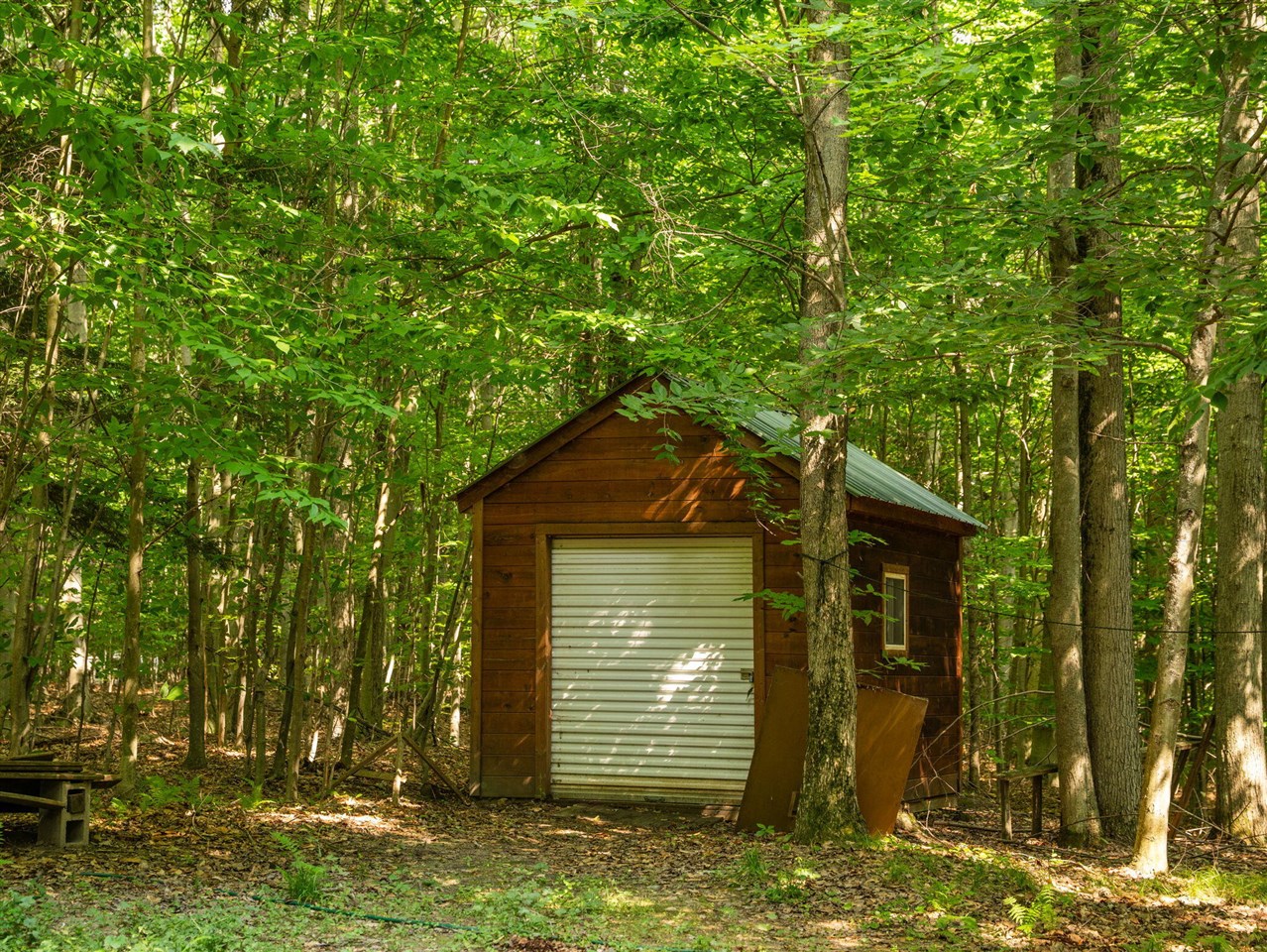 14739 9 Mile Road Property Photo 12