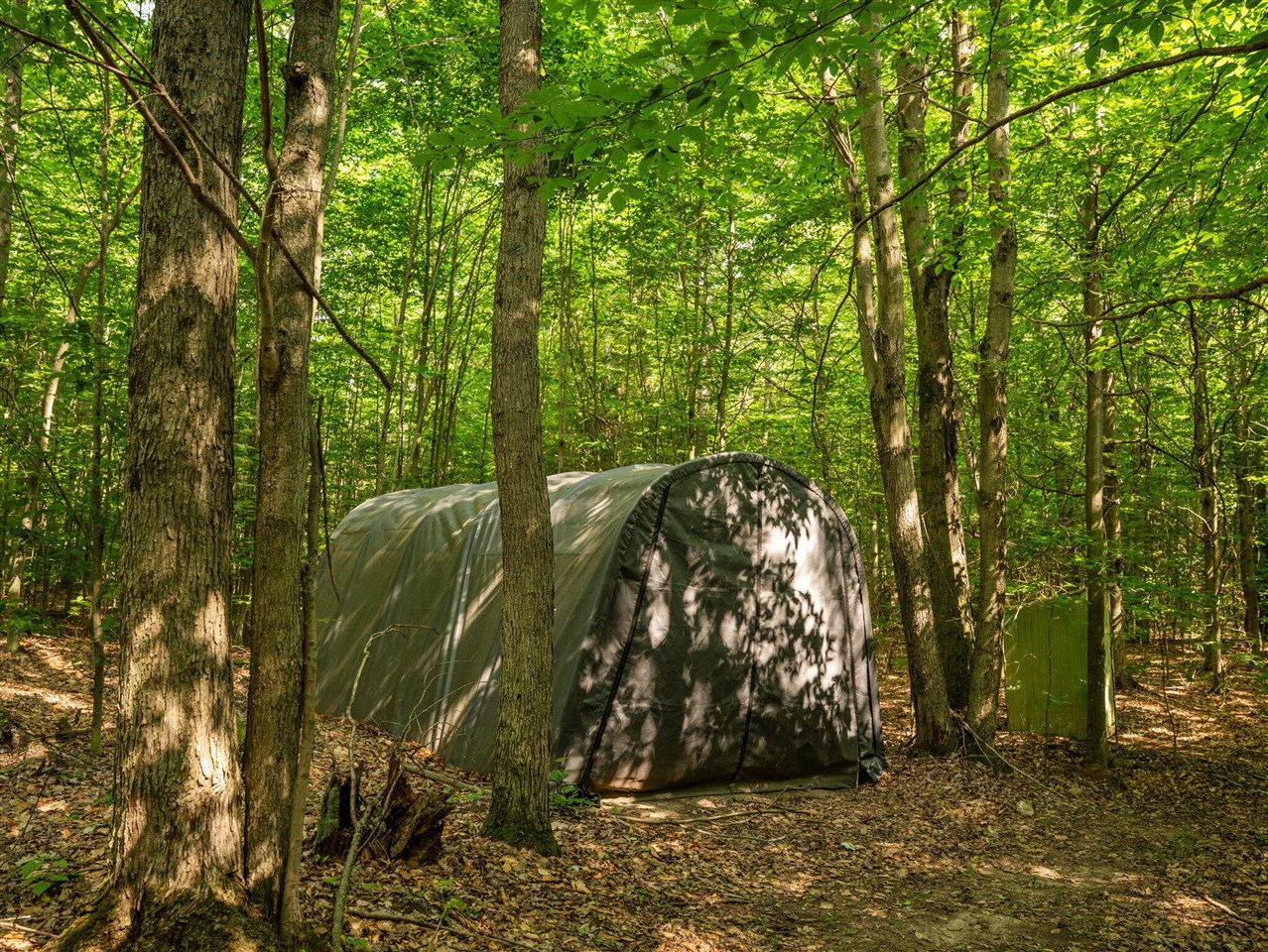 14739 9 Mile Road Property Photo 14