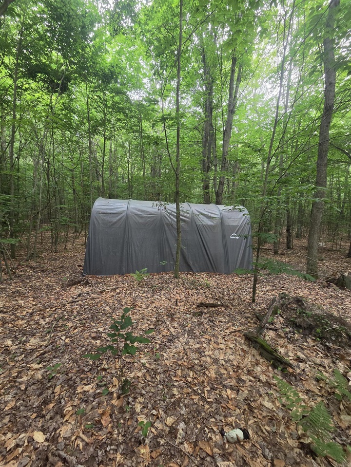 14739 9 Mile Road Property Photo 15
