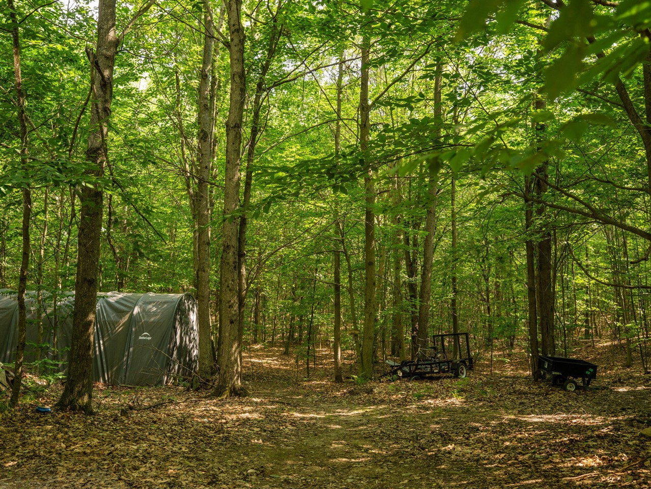 14739 9 Mile Road Property Photo 16