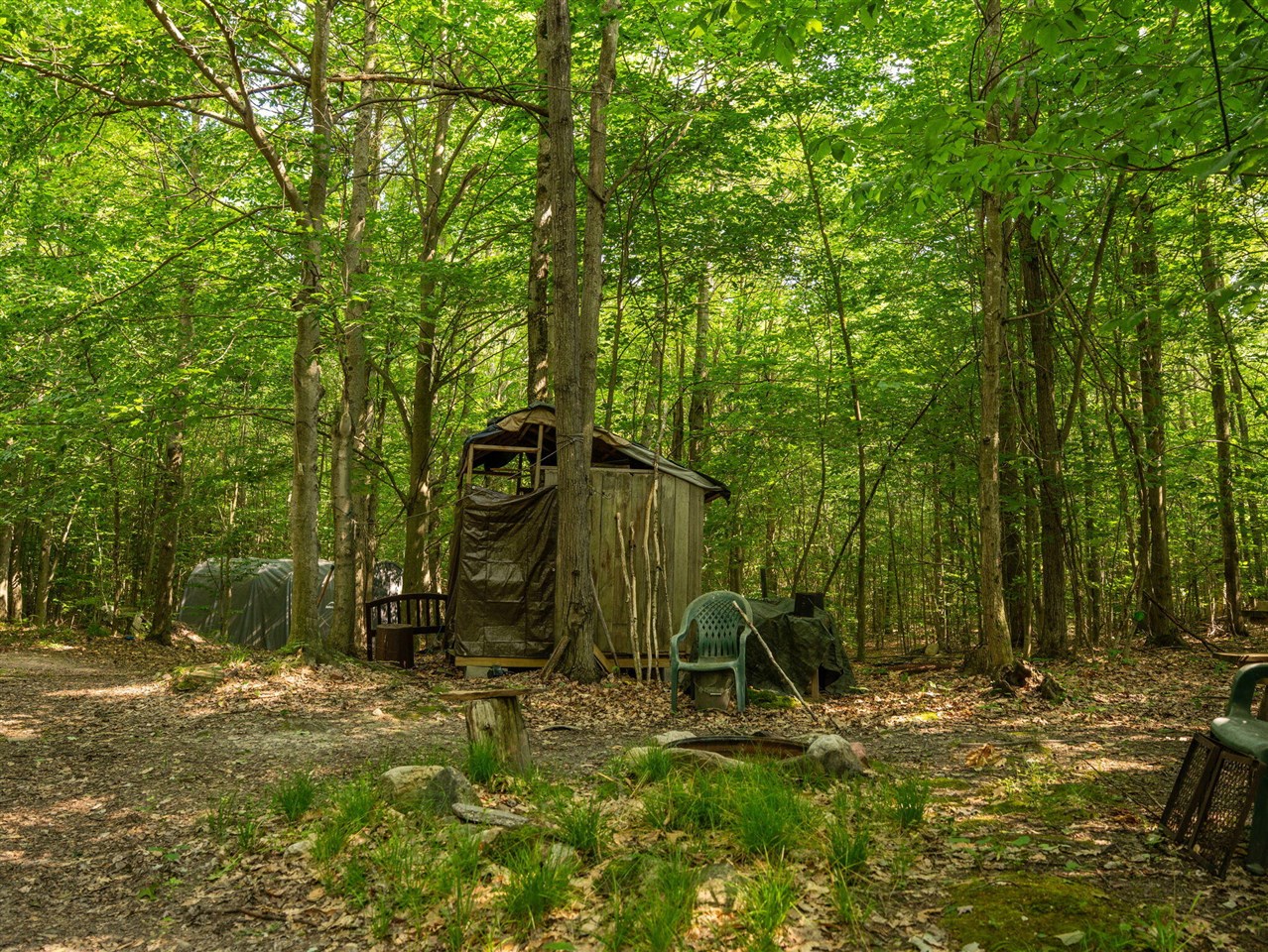 14739 9 Mile Road Property Photo 17