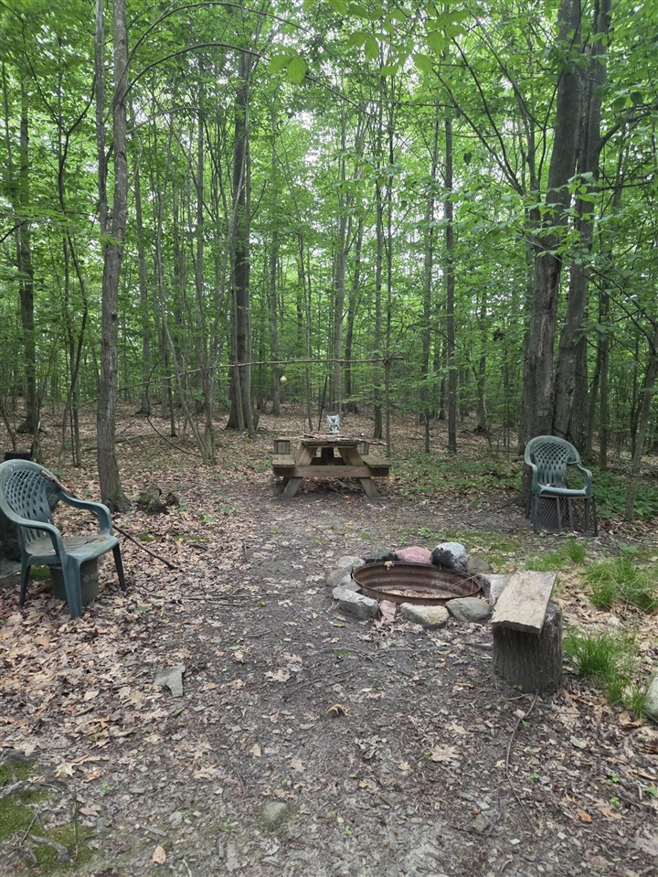 14739 9 Mile Road Property Photo 20