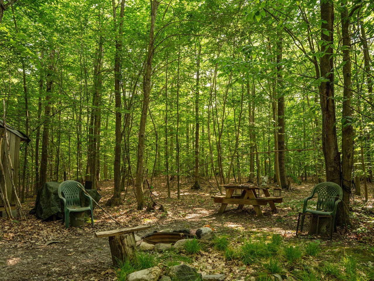 14739 9 Mile Road Property Photo 21