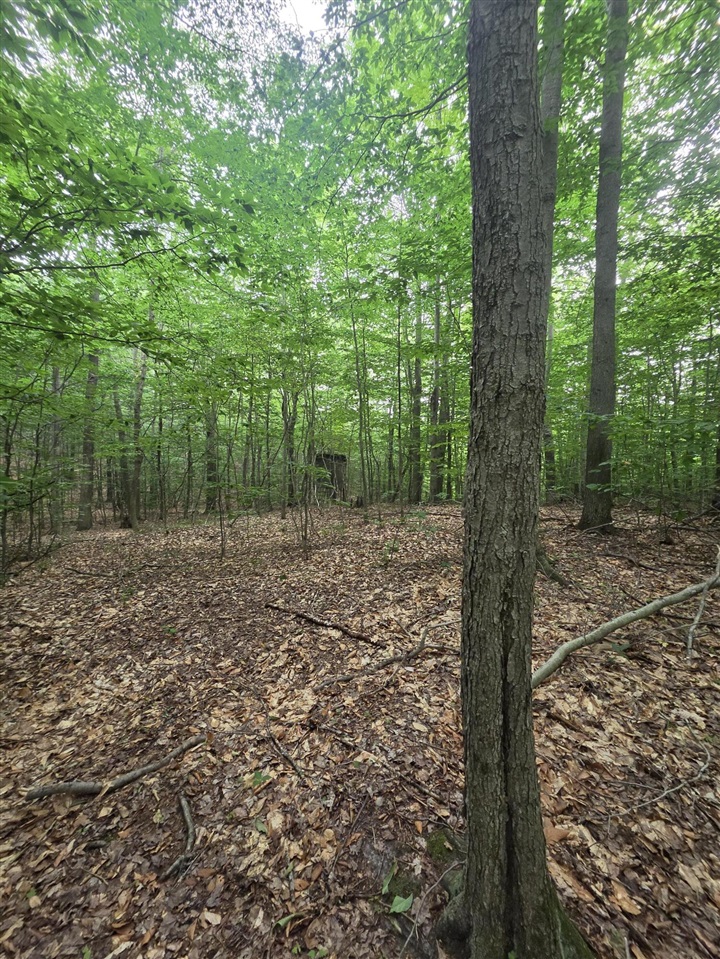 14739 9 Mile Road Property Photo 29