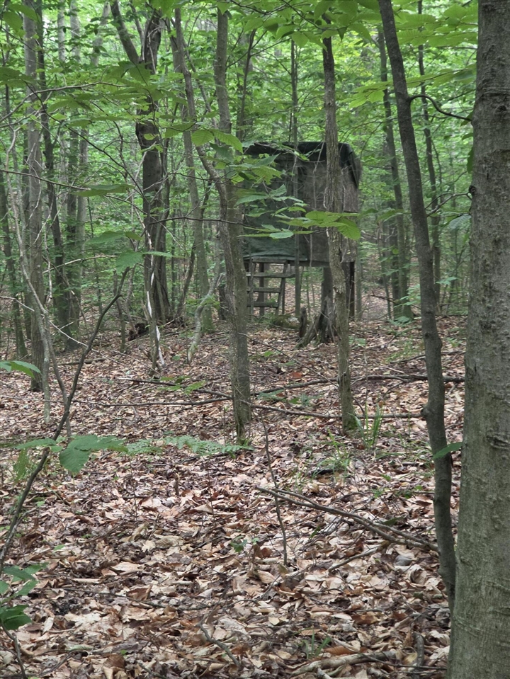 14739 9 Mile Road Property Photo 30