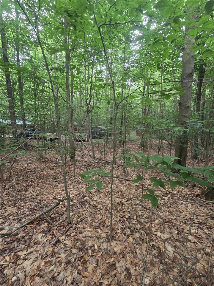 14739 9 Mile Road Property Photo 31