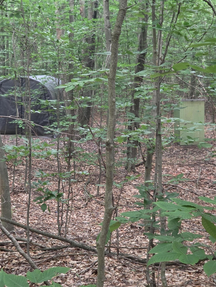 14739 9 Mile Road Property Photo 32