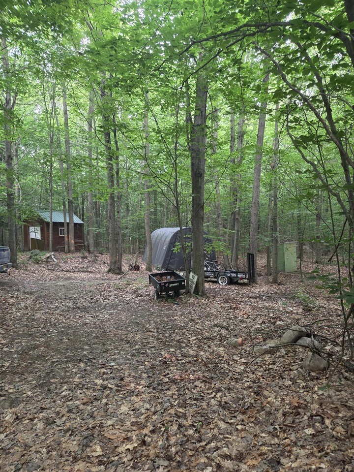 14739 9 Mile Road Property Photo 33