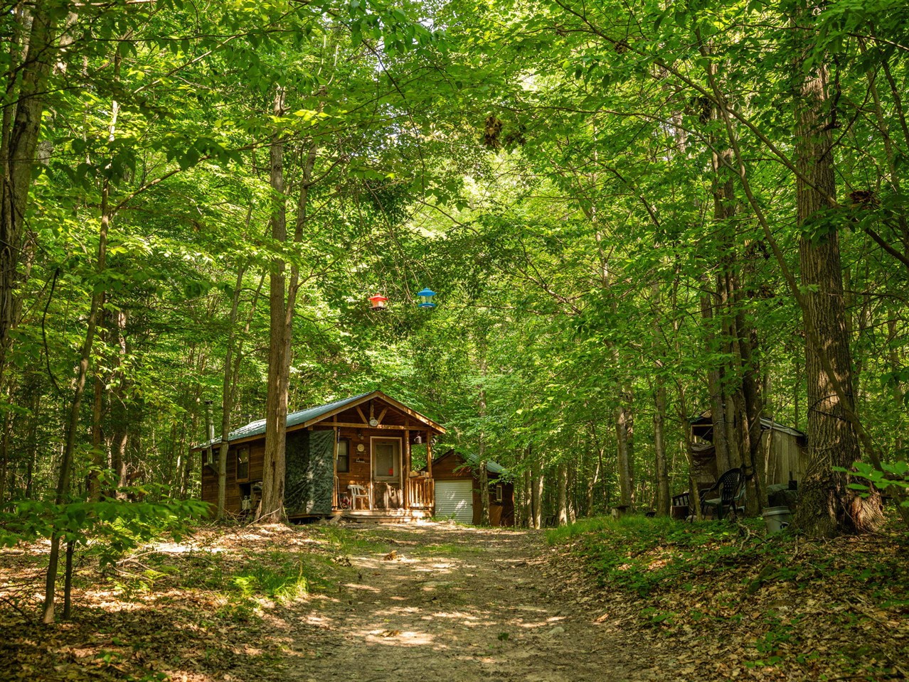 14739 9 Mile Road Property Photo 36