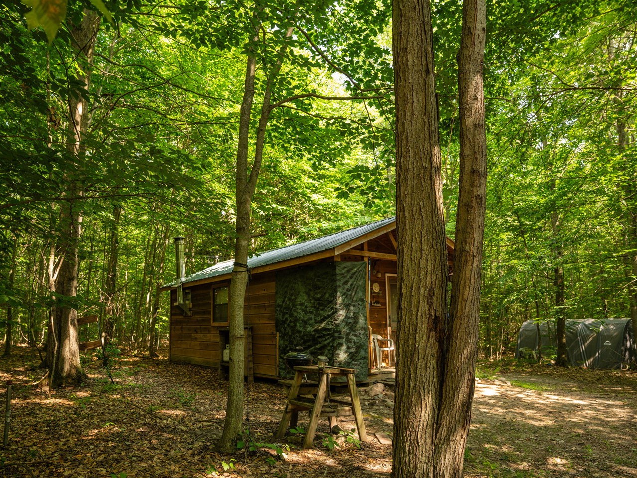14739 9 Mile Road Property Photo 37