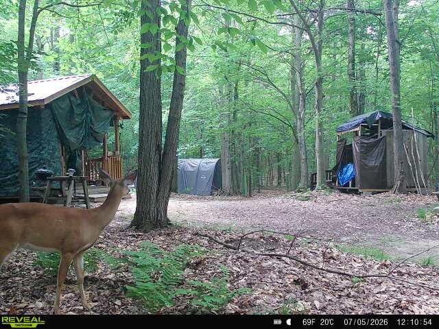 14739 9 Mile Road Property Photo 38
