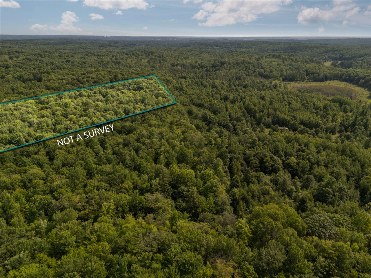 14739 9 Mile Road Property Photo 42