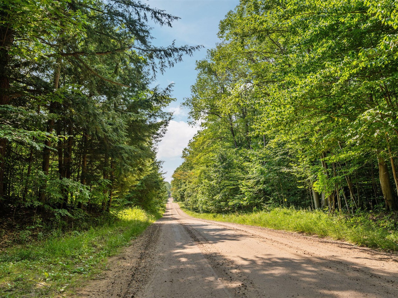 14739 9 Mile Road Property Photo 44
