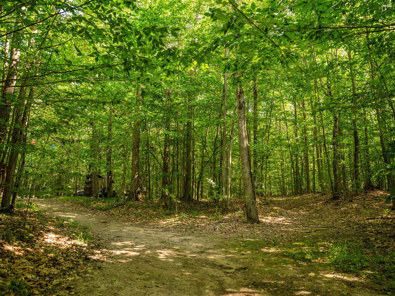 14739 9 Mile Road Property Photo 48