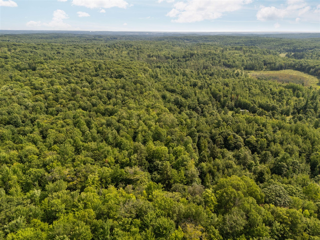 14739 9 Mile Road Property Photo 56