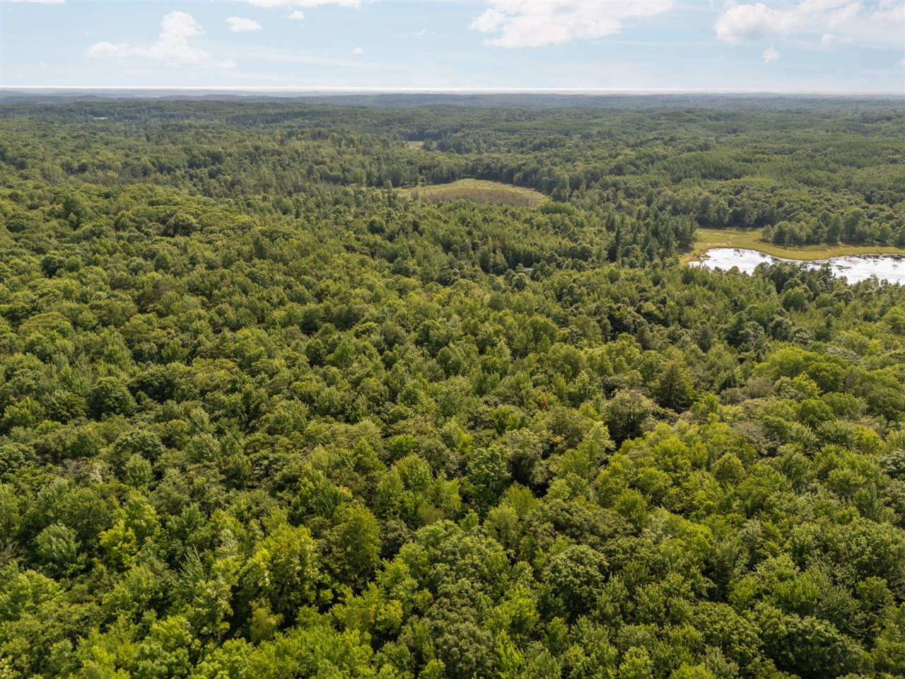 14739 9 Mile Road Property Photo 57