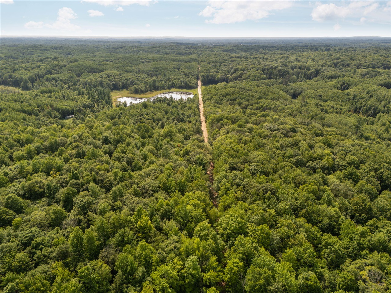 14739 9 Mile Road Property Photo 58