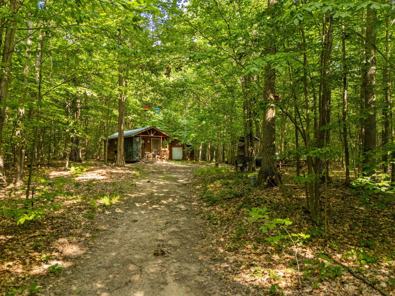14739 9 Mile Road Property Photo 60