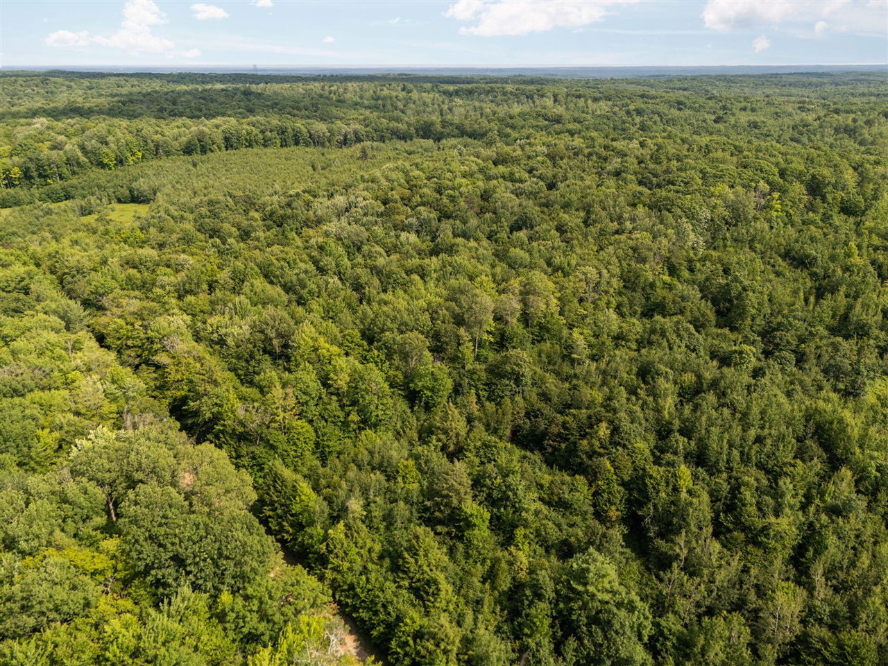 14739 9 Mile Road Property Photo 65