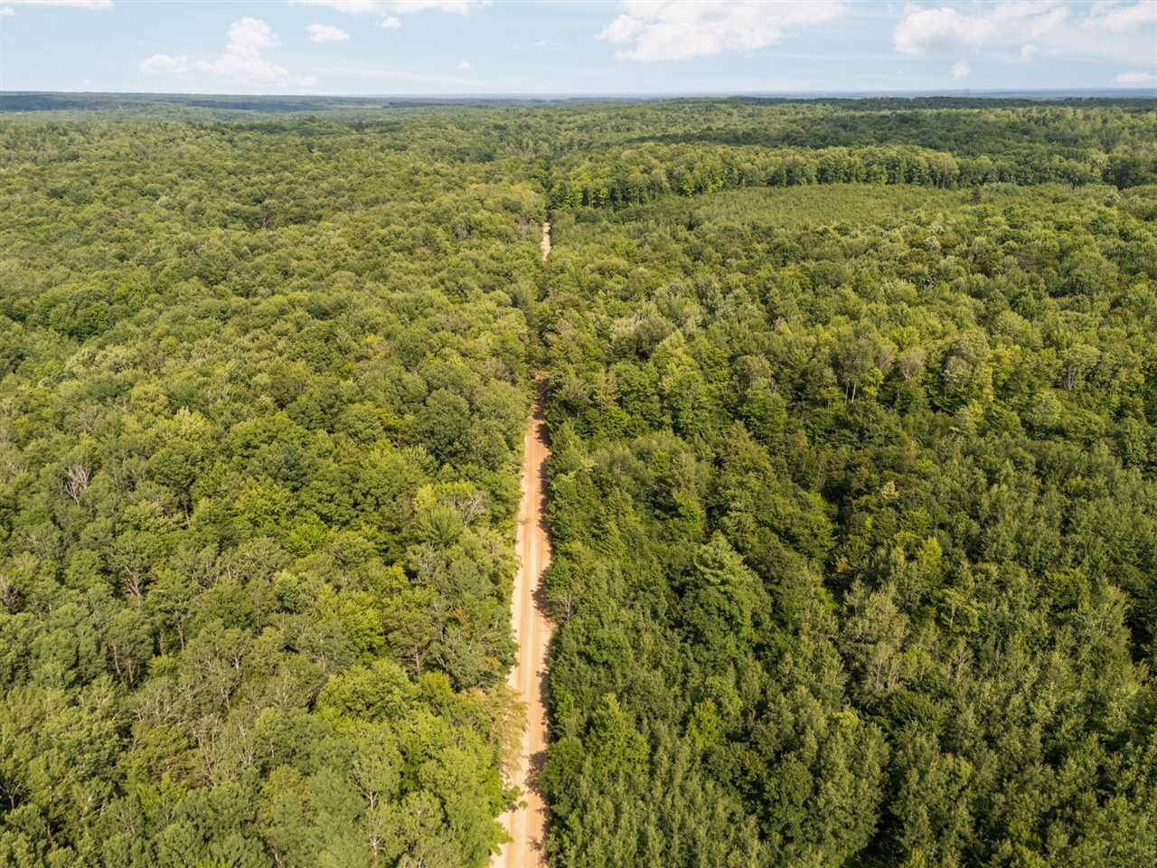 14739 9 Mile Road Property Photo 66