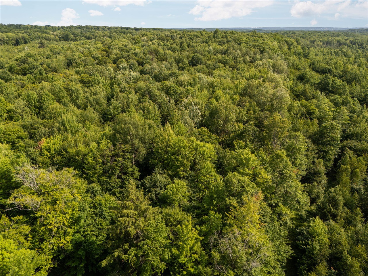 14739 9 Mile Road Property Photo 68