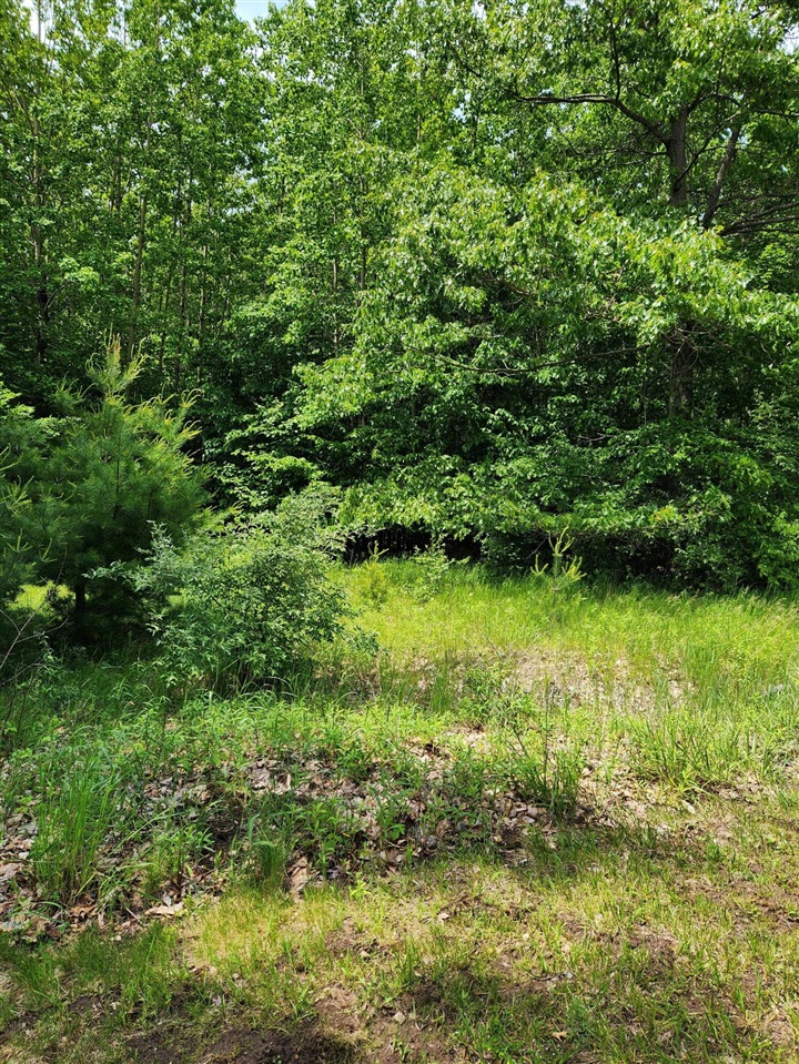00 Opal Ridge Drive Property Photo 3