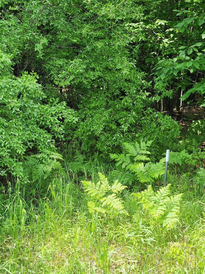 00 Opal Ridge Drive Property Photo 4