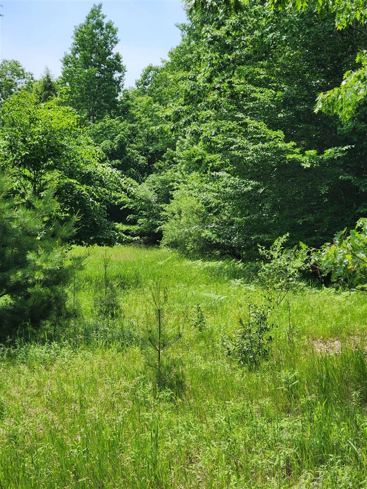 00 Opal Ridge Drive Property Photo 5