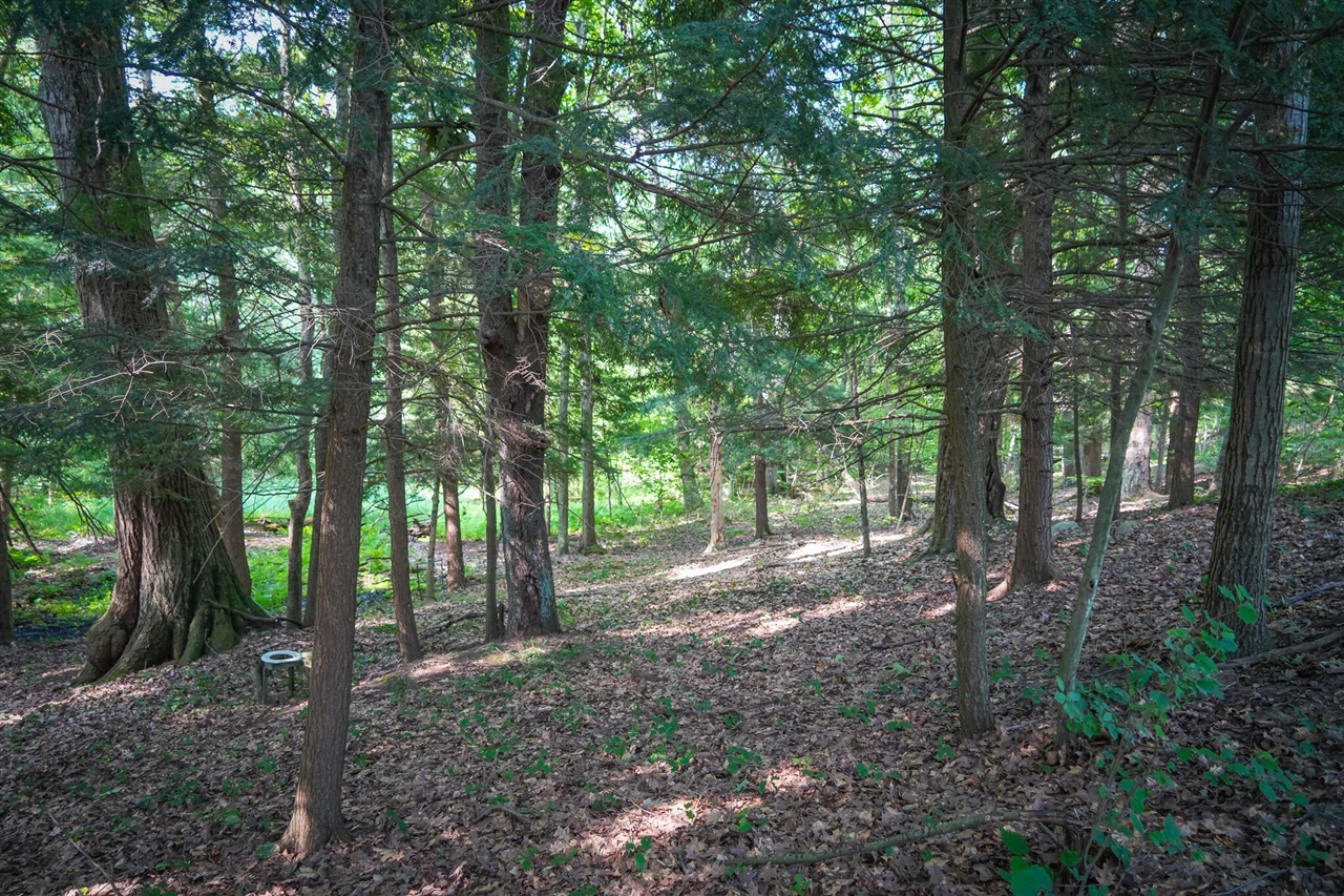 N Apple Drive Property Photo 4