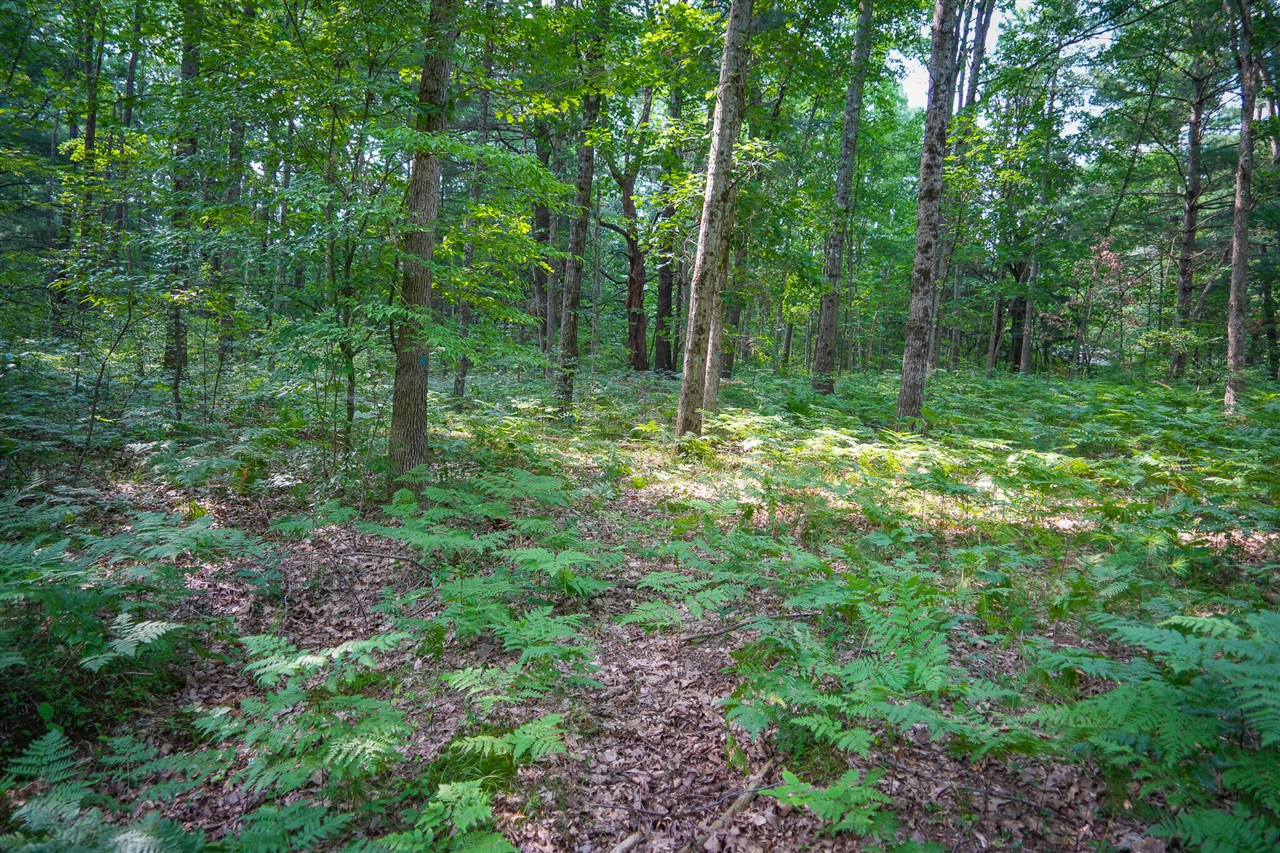 N Apple Drive Property Photo 11