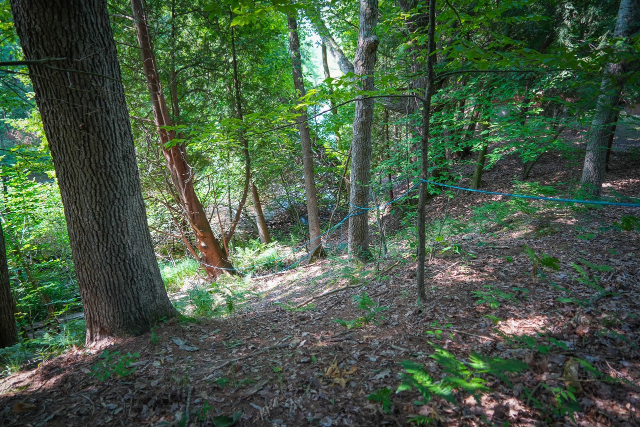 N Apple Drive Property Photo 15