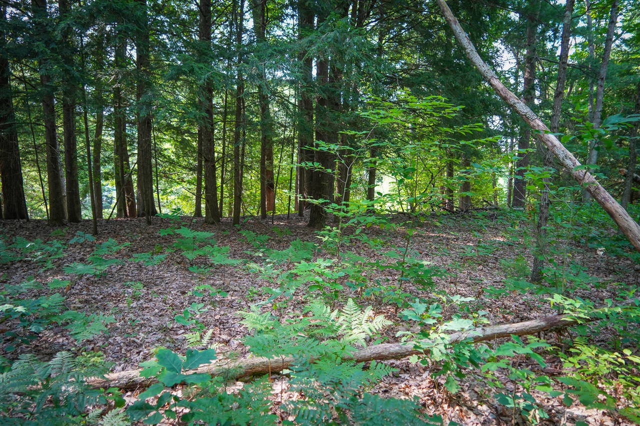 N Apple Drive Property Photo 17