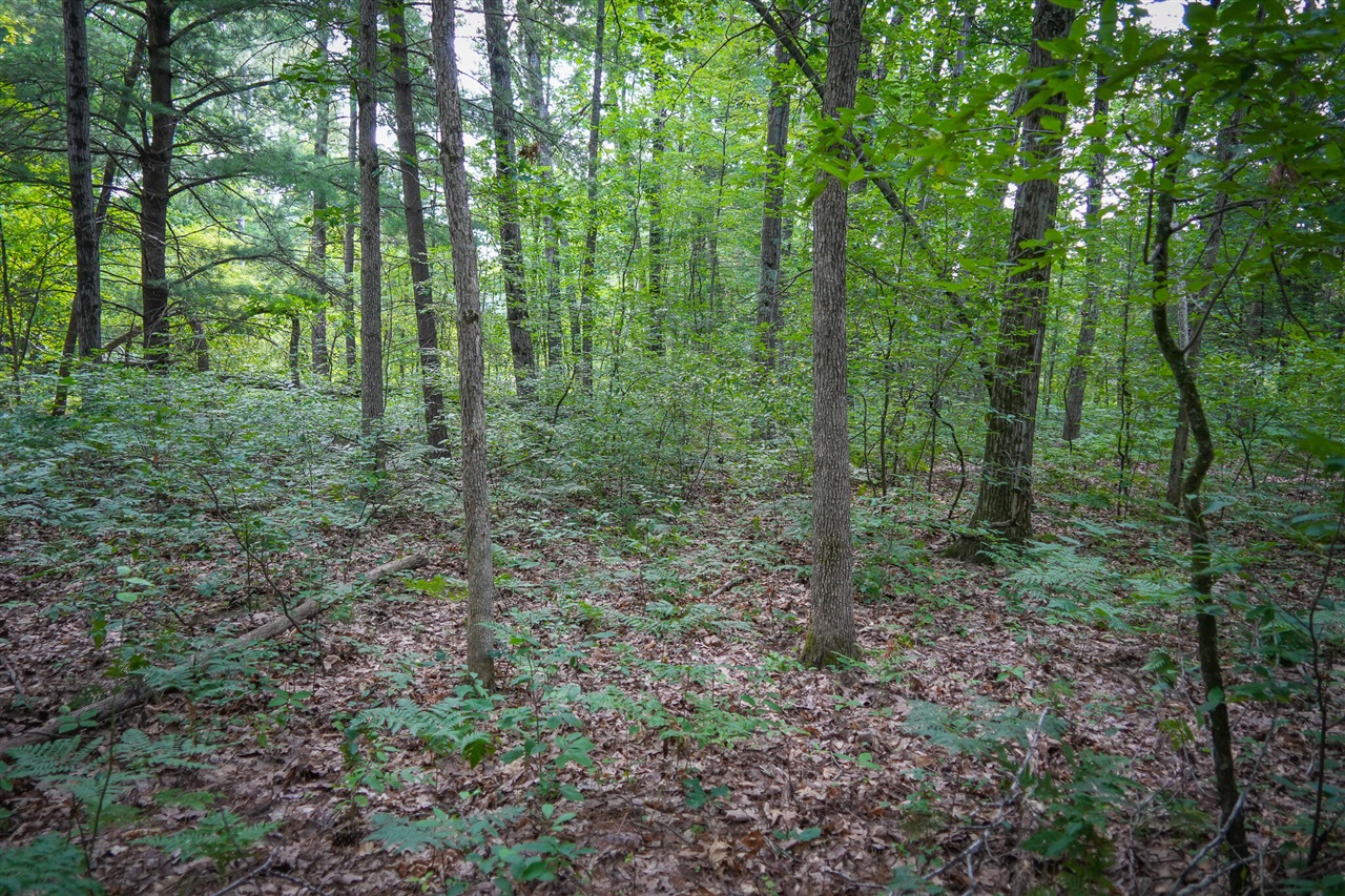 N Apple Drive Property Photo 18