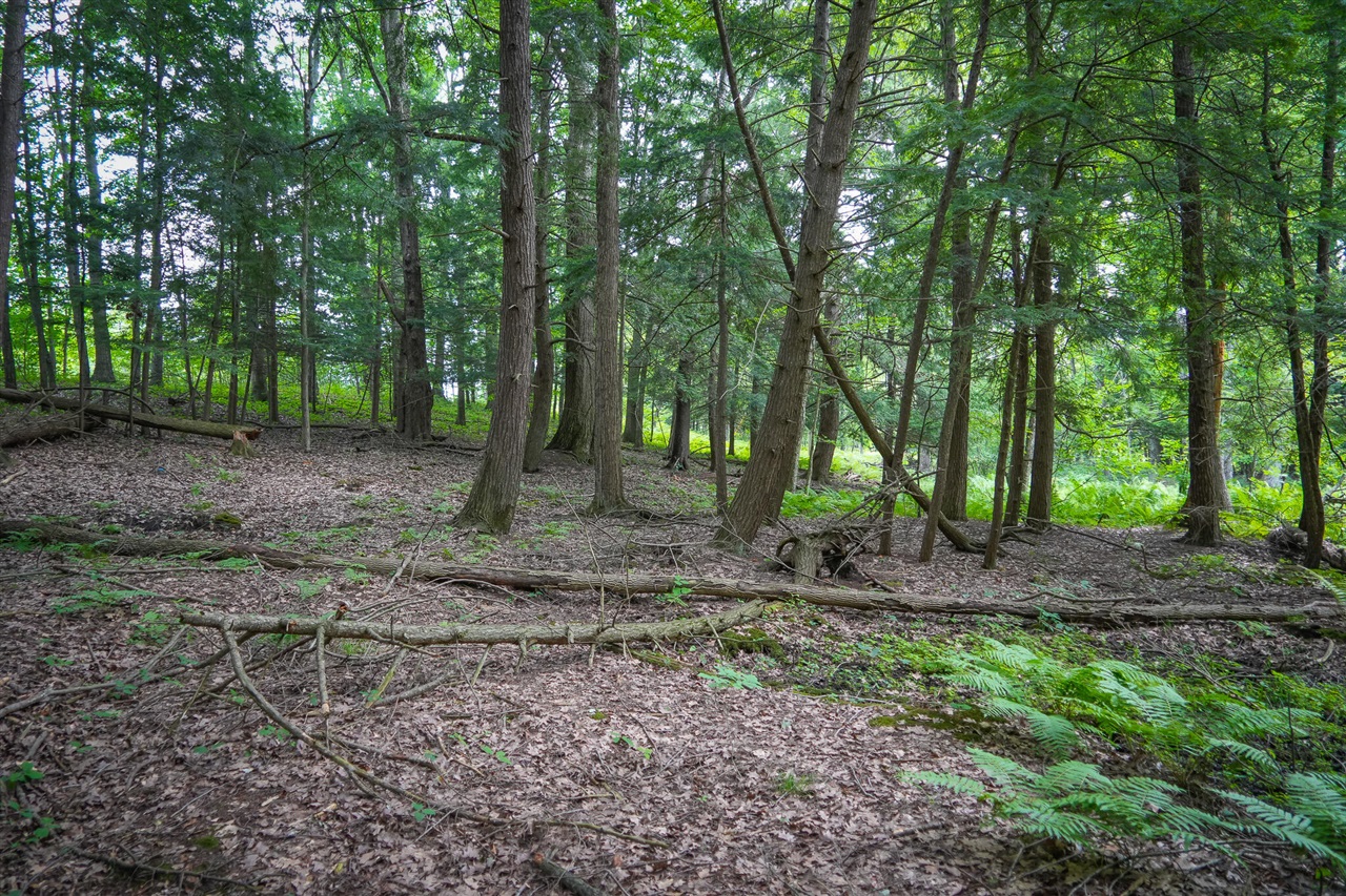 N Apple Drive Property Photo 20