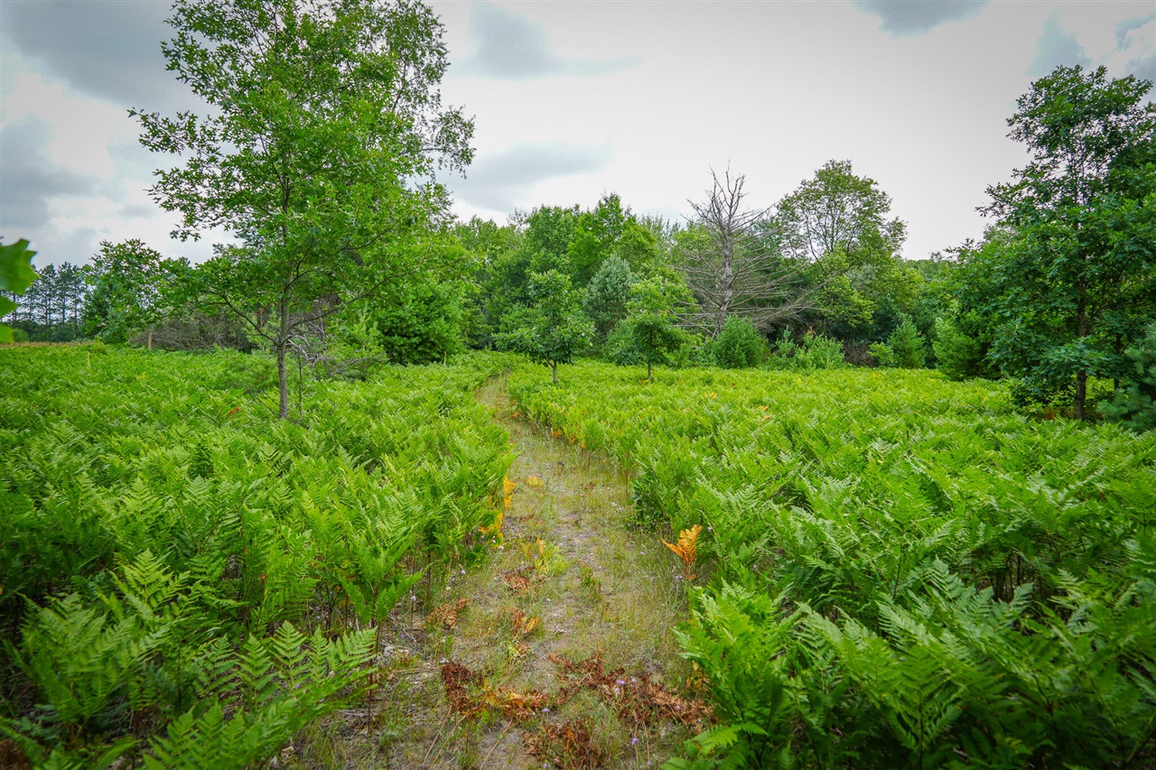 N Apple Drive Property Photo 10