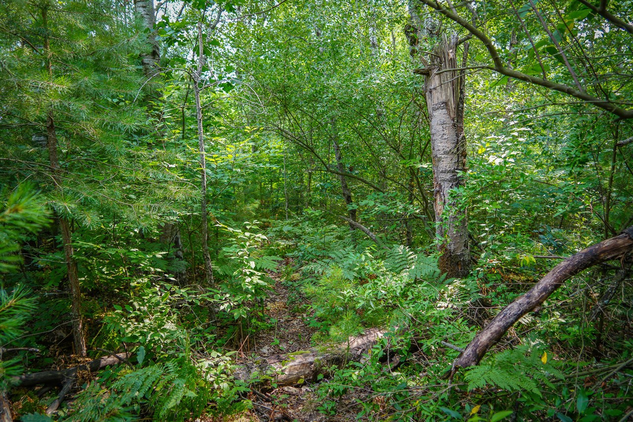 N Apple Drive Property Photo 14