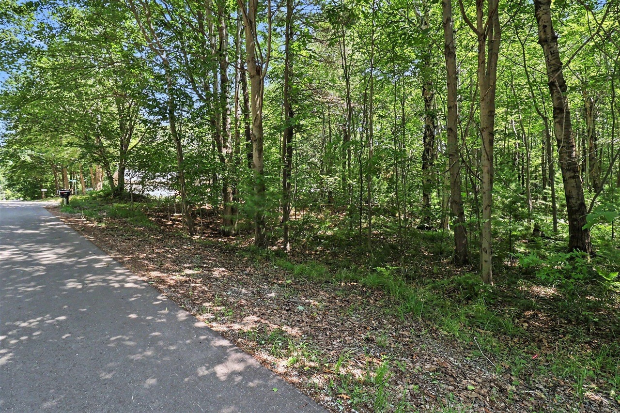 6733 W Basswood Street Property Photo 7