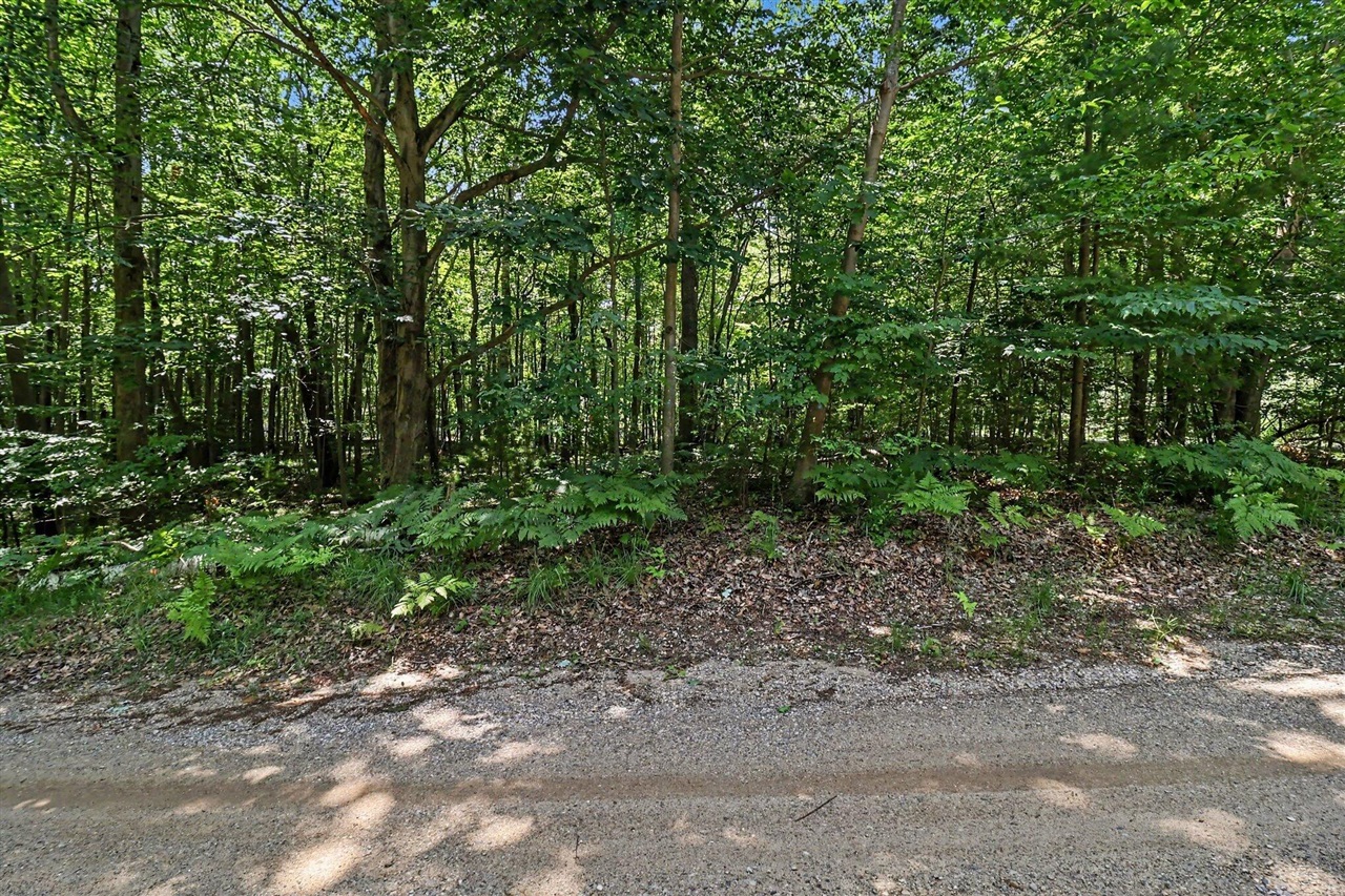 6733 W Basswood Street Property Photo 8