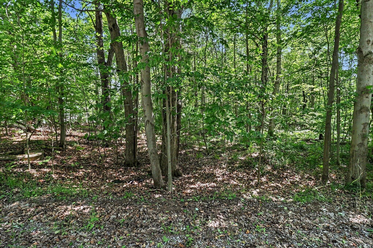 6733 W Basswood Street Property Photo 9