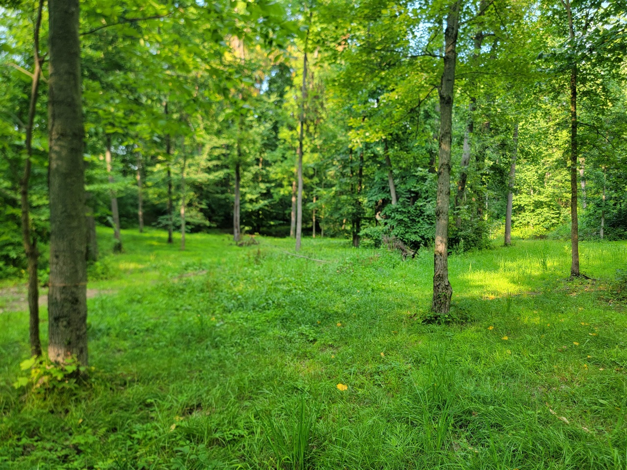8575 Anchor Drive Property Photo 7