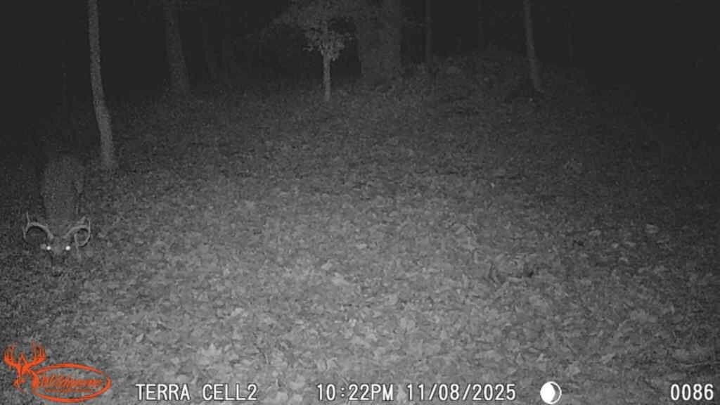 8575 Anchor Drive Property Photo 10