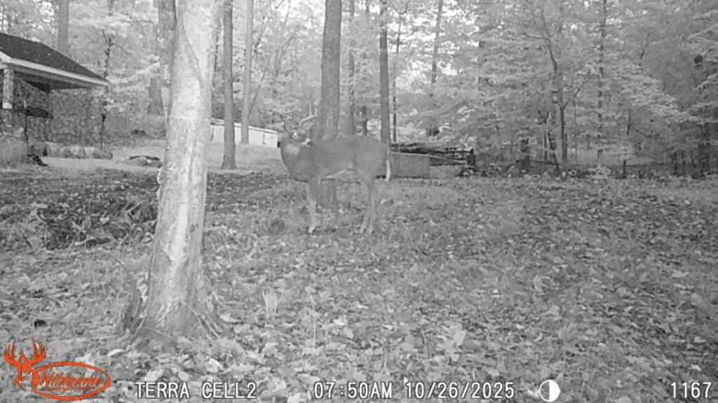 8575 Anchor Drive Property Photo 11