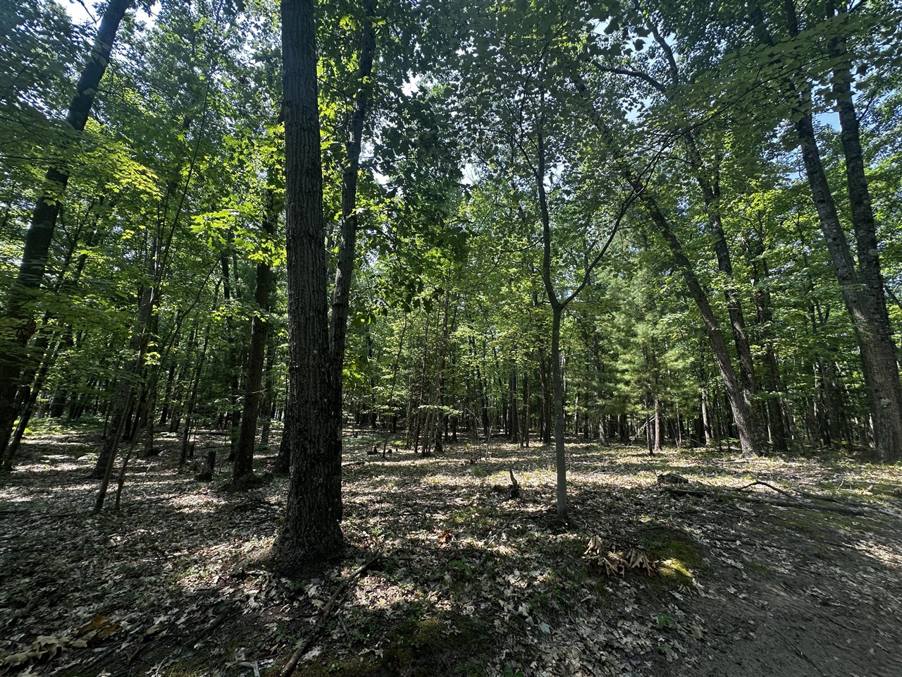 00 Vl Deer Trail Property Photo 1