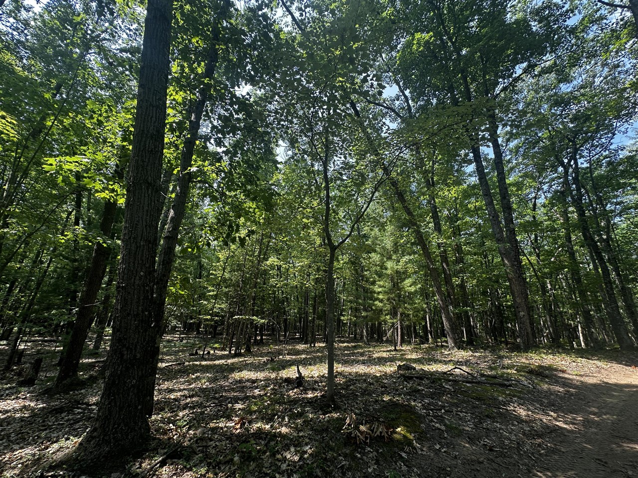 00 Vl Deer Trail Property Photo 2