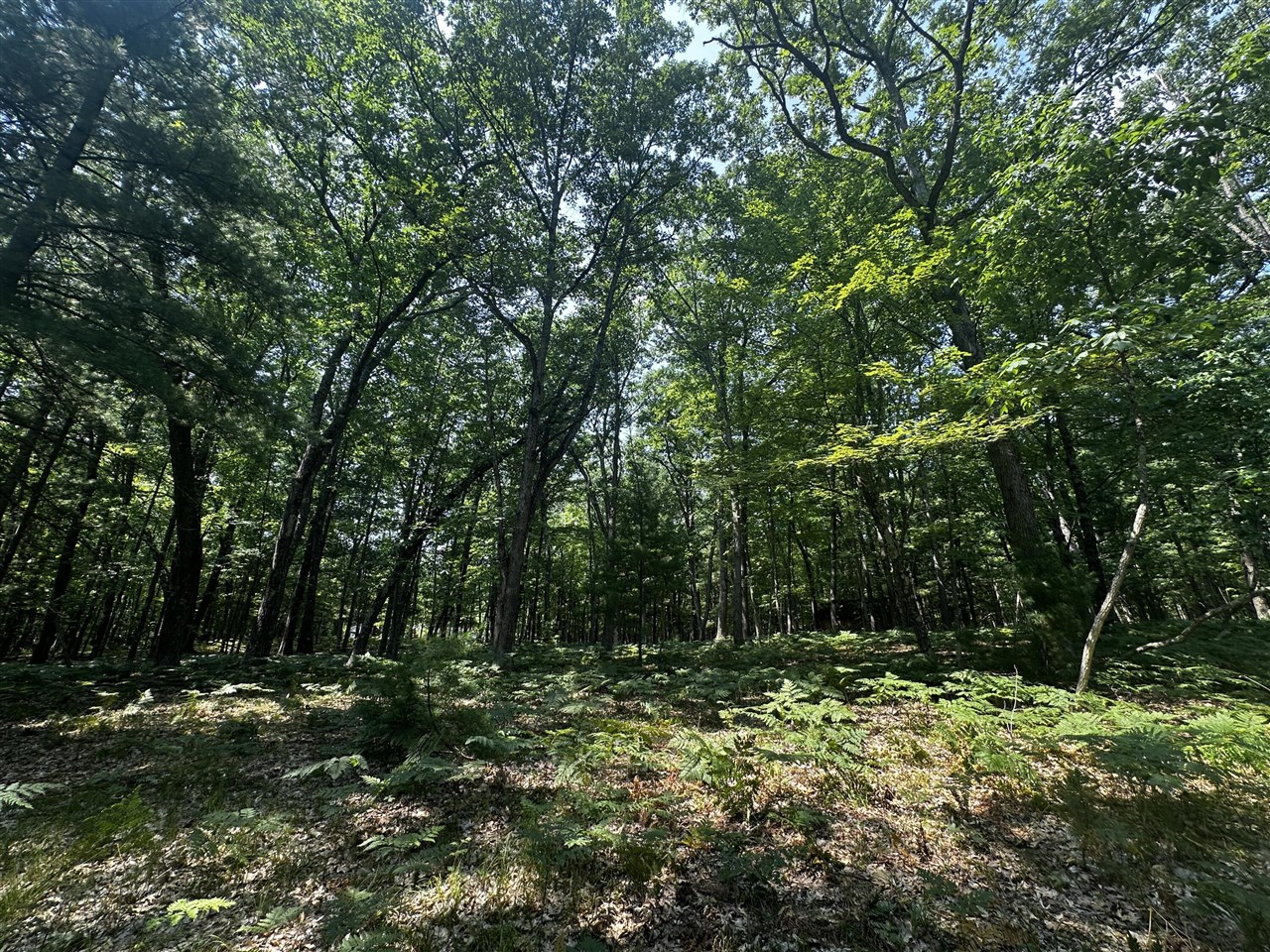 00 Vl Deer Trail Property Photo 3
